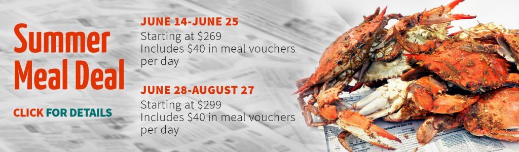 summer meal deal promotion banner